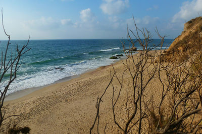 Scenic view of beach against sky