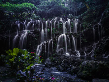 Waterfall in forest