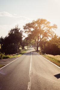 Empty road along trees