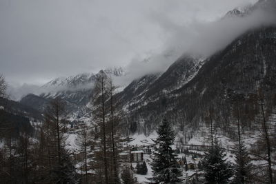 Scenic view of trees and mountains against sky