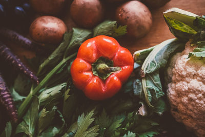 High angle view of tomatoes and leaves on plant