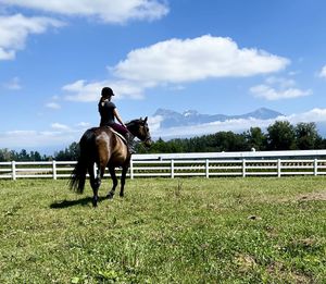 Lone horse ridden in field against blue sky
