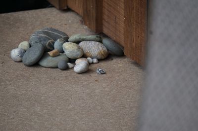 Close-up of food on table