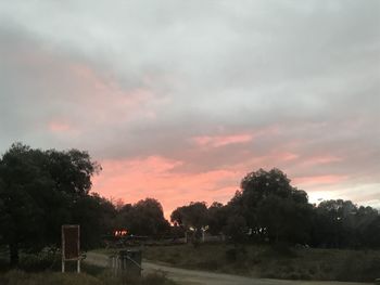 Trees on field against sky at sunset