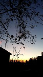 silhouette