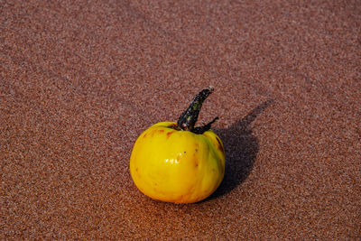 Close-up of yellow fruit on land