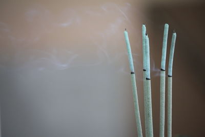 Incense burn to worship the buddha and the sacred.