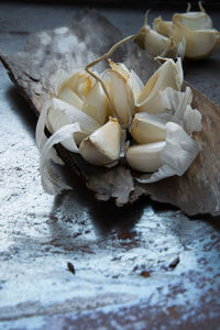 High angle view of garlic on white table