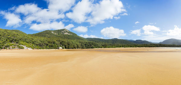 Scenic view of beach against sky