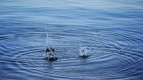 Detail shot of blue rippled water