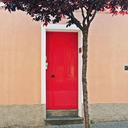 Red door of building