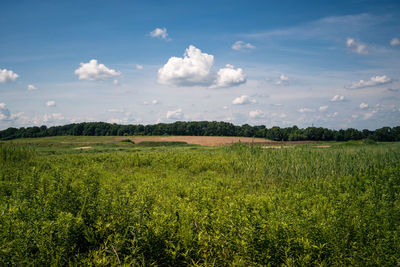 Views of the crossman clay pits and raritan river railroad in sayreville, nj