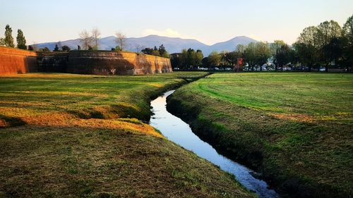 Scenic view of grass against sky