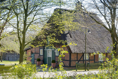 Trees and plants growing outside house