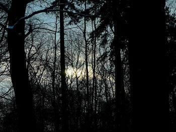 Silhouette trees against sky during sunset