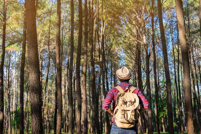 Woman standing in forest