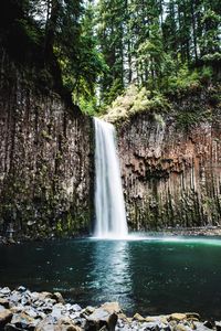 View of waterfall in forest