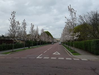 Road by trees against sky