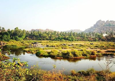 Scenic view of lake