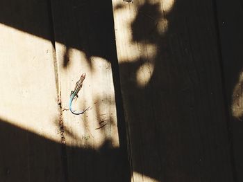 Close-up of shadow on wooden plank