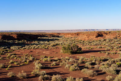 Scenic view of desert against clear sky