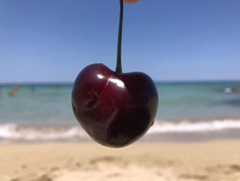 Close-up of ice cream on beach