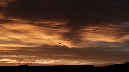 Silhouette of sky at sunset