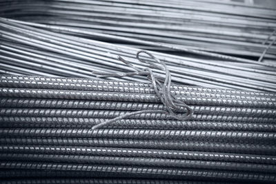 Close-up of an insect