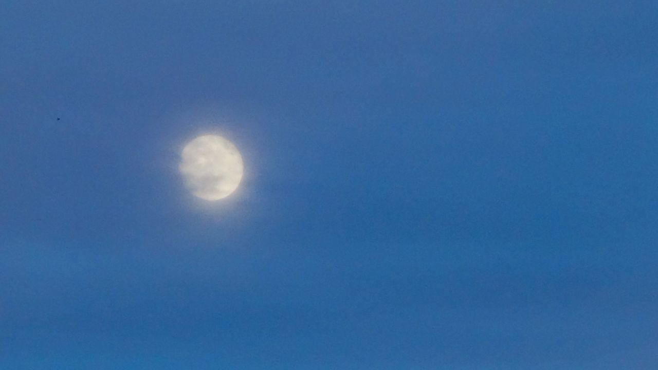 LOW ANGLE VIEW OF MOON AGAINST BLUE SKY AT NIGHT