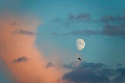 Low angle view of moon in sky at night