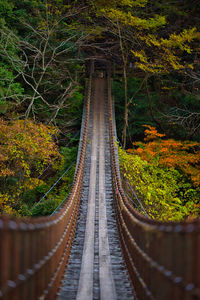 Railroad tracks in forest during autumn