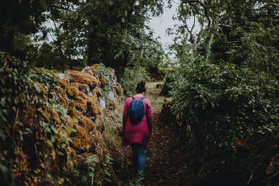 Rear view of man walking in forest