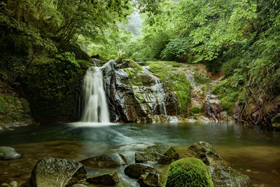 Scenic view of waterfall