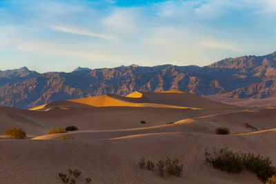 Scenic view of desert against sky