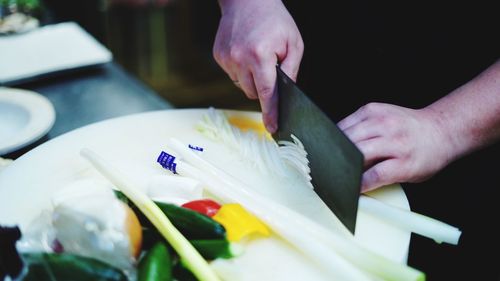 Midsection of person preparing food