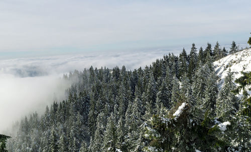 Scenic view of snow covered land against sky