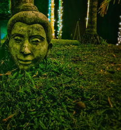 Close-up of buddha statue in park at night