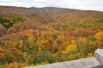 Scenic view of landscape against sky during autumn