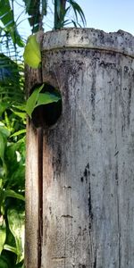 Low angle view of old weathered wood