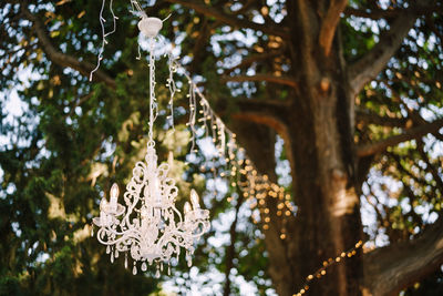 Low angle view of decoration hanging on tree