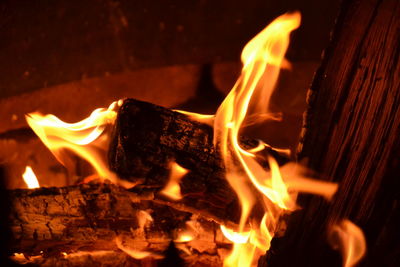 Close-up of bonfire at night