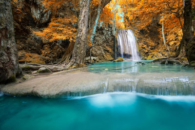 Scenic view of waterfall in forest during autumn