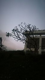 Low angle view of bare trees against the sky