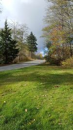 Trees on field against sky