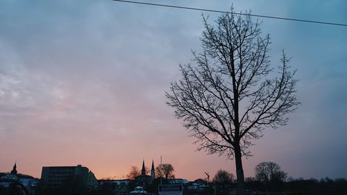 Low angle view of silhouette bare tree and buildings against sky