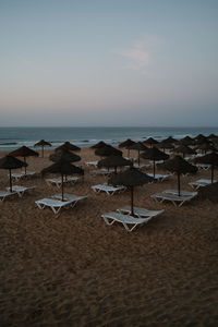 Early morning in blue hour before sunrise beach umbrellas and sunbeds. salema, algarve, portugal.