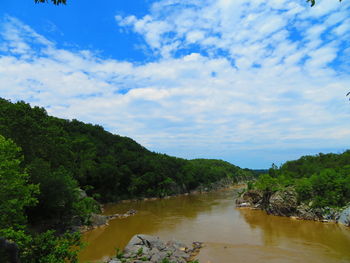 Scenic view of river amidst trees against sky