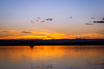 Silhouette birds flying over sea against sky during sunset