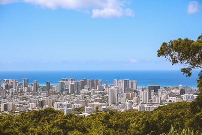 Trees and buildings against blue sky