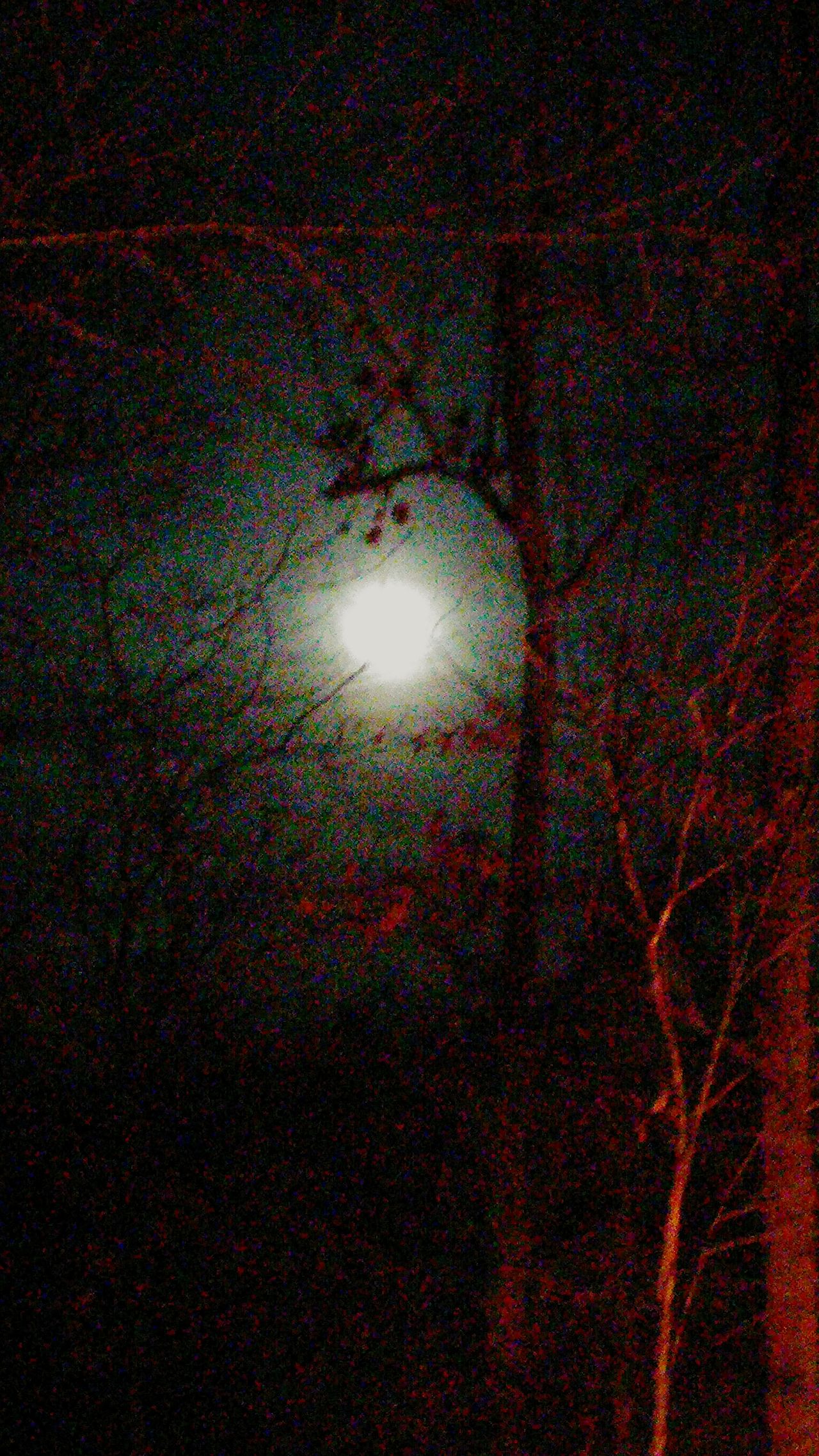 Missouri winter moon